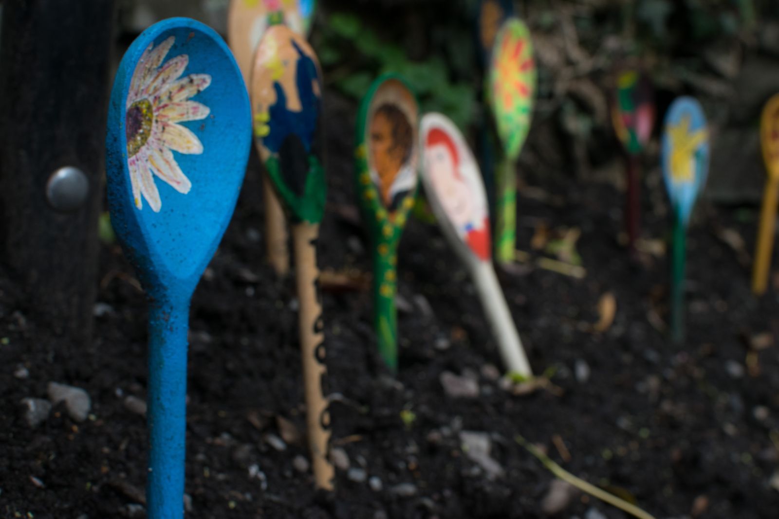 colorful-wooden-spoons