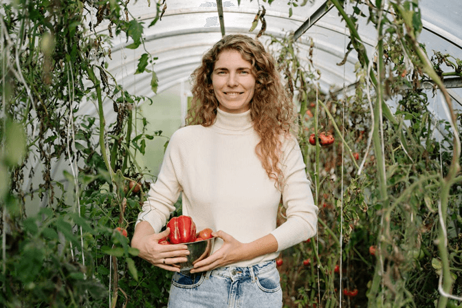 harvesting vegetables