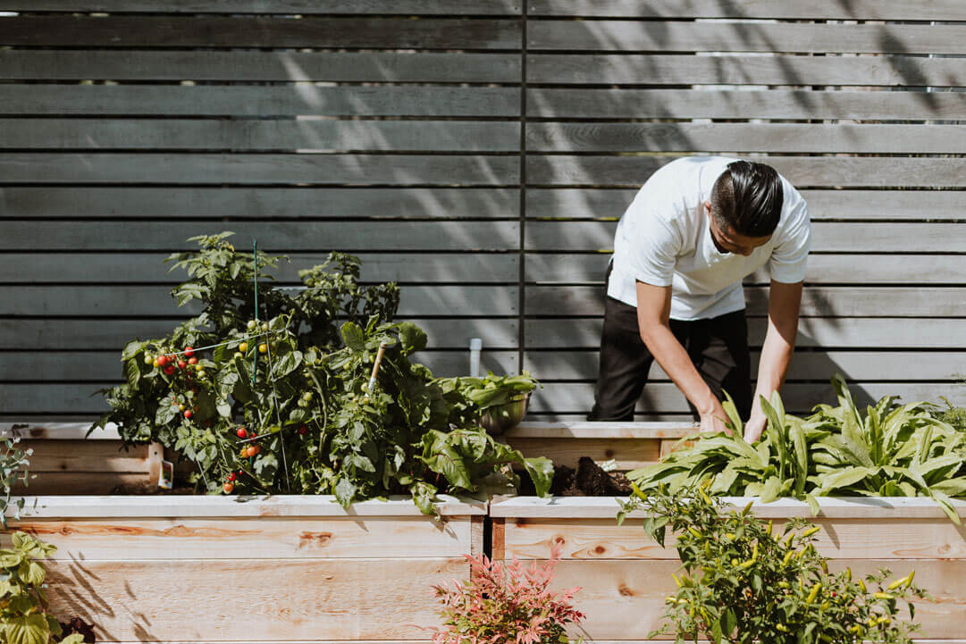 man-gardening