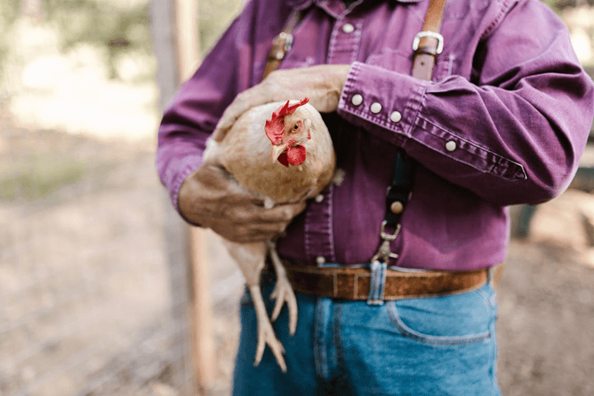 man holding a chicken