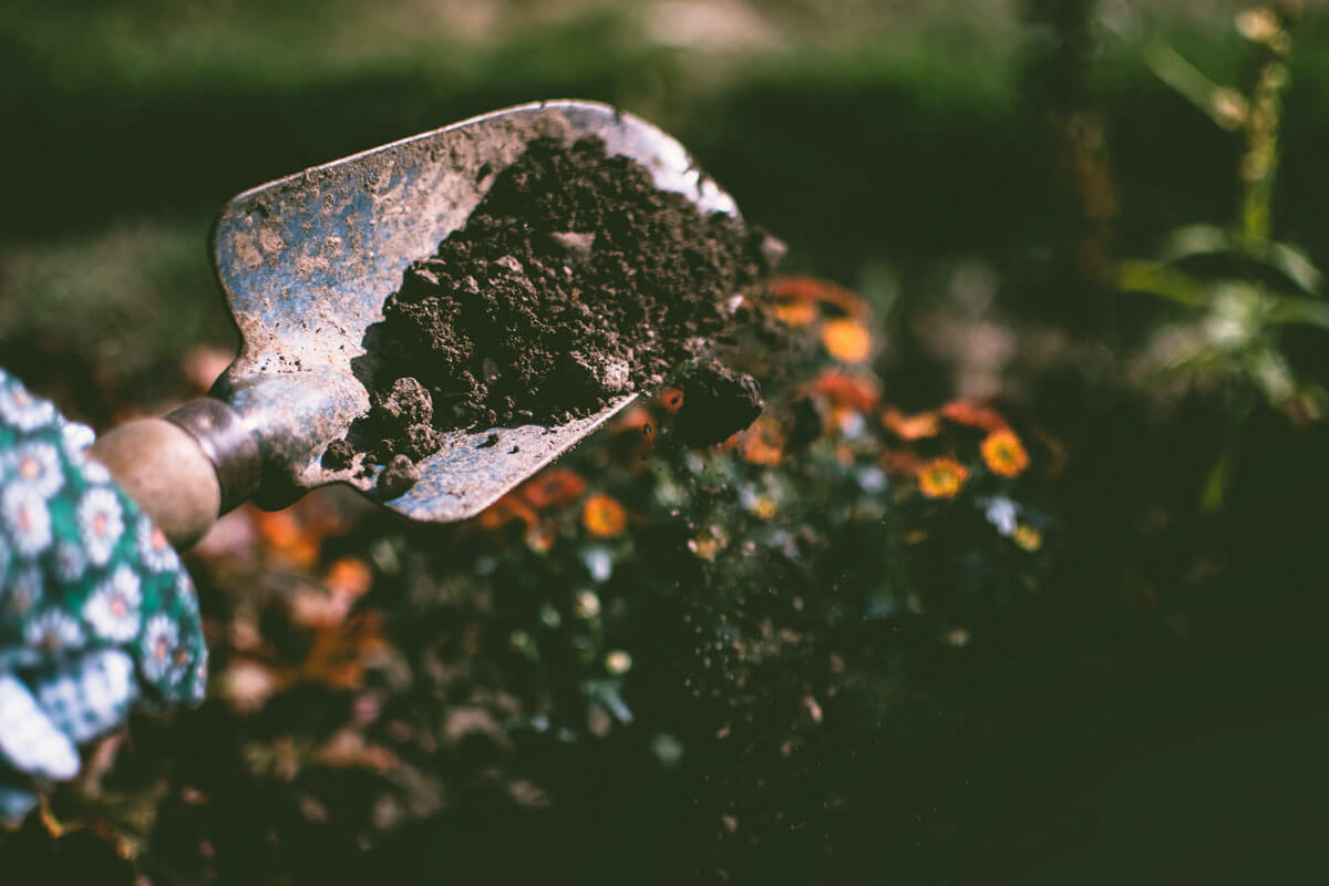 shovel-with-soil