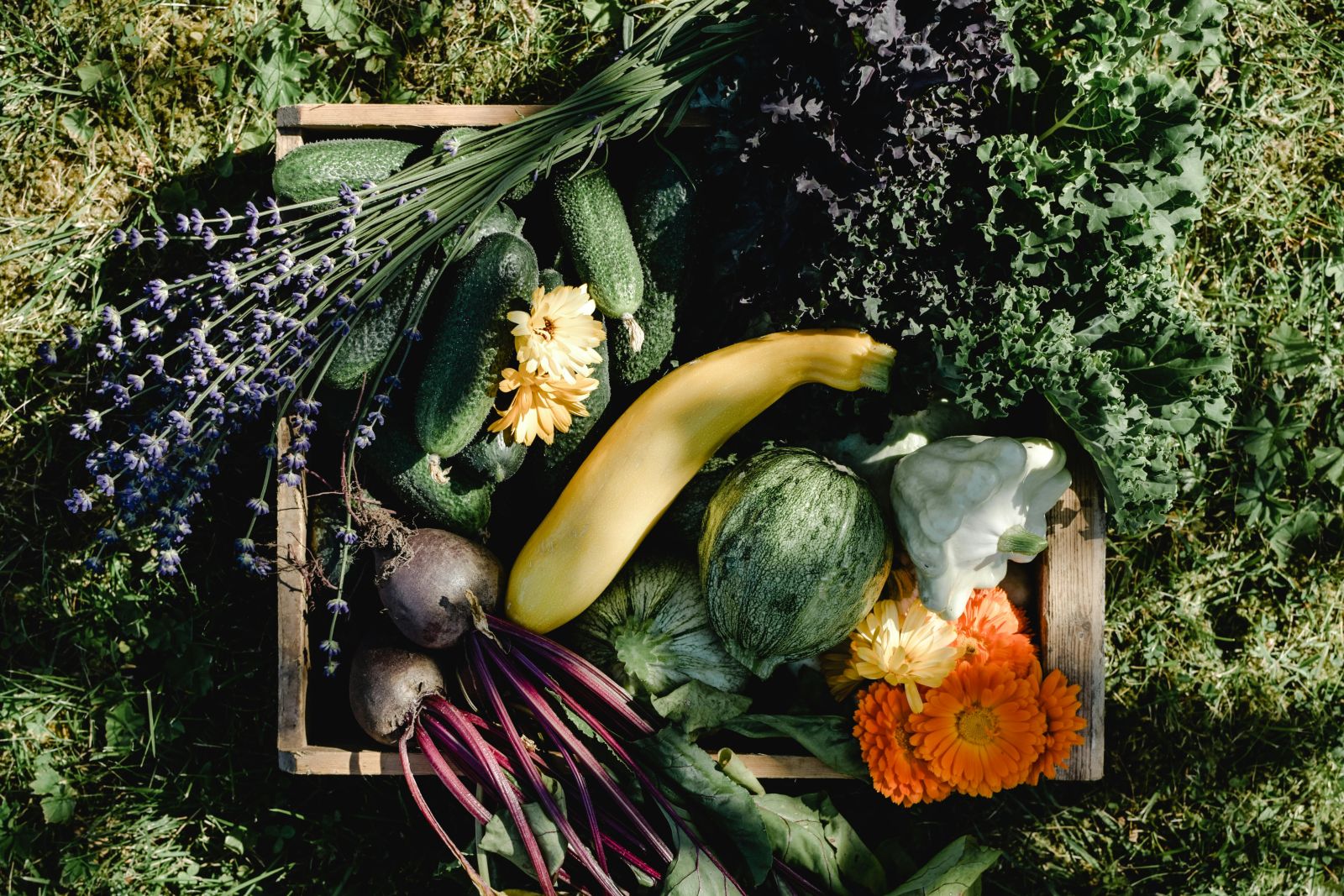 winter vegetables in Melbourne