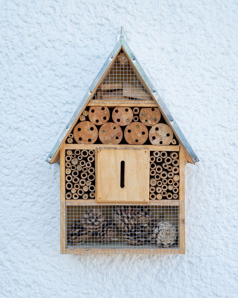 wooden-bee-house